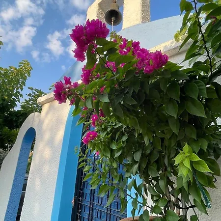Villa Eirini With Sea View Dhriopi (Peloponnese)