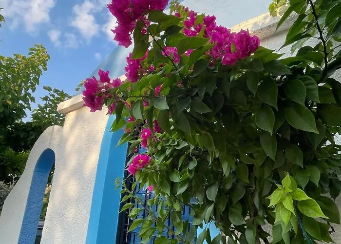 Villa Eirini With Sea View Dhriopi (Peloponnese)